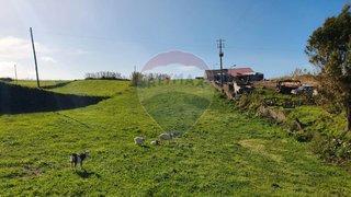 Land for sale in Nordeste, Portugal — €72,719
