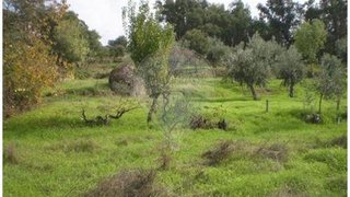Land for sale in Idanha-a-Nova, Portugal — €12,999