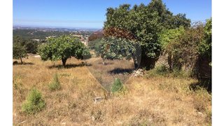 Land for sale in Alcobaça, Portugal — €65,000