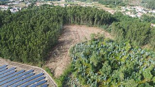 Land for sale in Vila Nova de Famalicão, Portugal — €67,500