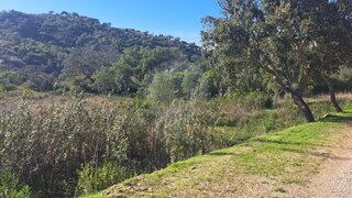 Land for sale in Loulé, Portugal — €45,000