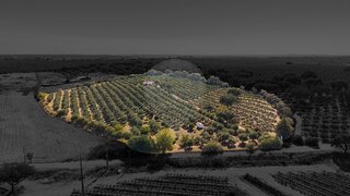 Land for sale in Évora, Portugal — €500,000