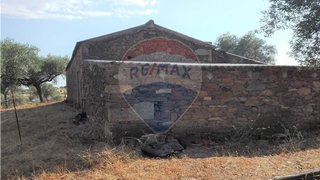 Land for sale in Proença-a-Nova, Portugal — €19,000