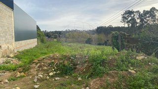 Land for sale in Anadia, Portugal — €42,500