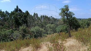 Land for sale in Grândola, Portugal — €200,000