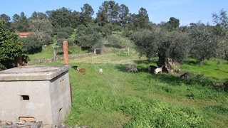 Land for sale in Penamacor, Portugal — €17,000