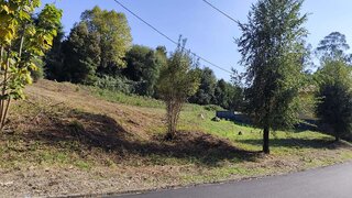Land for sale in Oliveira de Azeméis, Portugal — €60,000