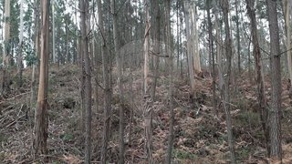 Land for sale in Pombal, Portugal — €3,000