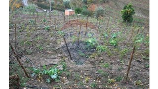 Terreno em Mesão Frio