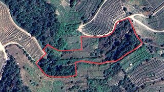 Land for sale in Alijó, Portugal — €59,000