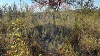 Land for sale in Alcoutim, Portugal — €12,000