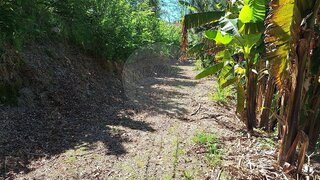 Land for sale in Arcos de Valdevez, Portugal — €45,000