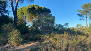 Land for sale in Torres Novas, Portugal — €2,400