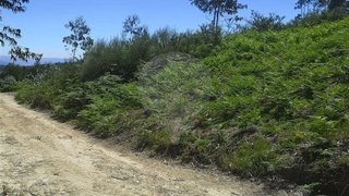 Terreno em Lousada