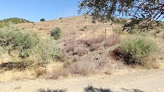 Terreno · 240 m² · 4000 €