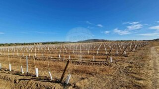 Land for sale in Sousel, Portugal — €140,000