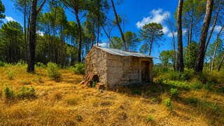Terreno para venda em Carregal do Sal, Portugal — 25 000 €
