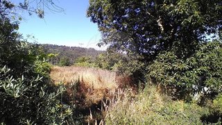 Land for sale in São Pedro do Sul, Portugal — €5,500