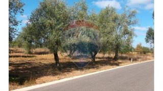 Land for sale in Pombal, Portugal — €9,800