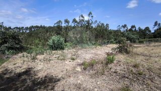 Terreno de 1302 m² em Leiria