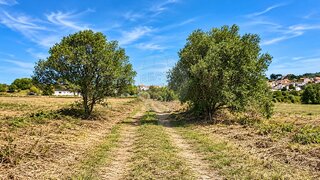 Terreno para venda em Sintra, Portugal — 15 000 €