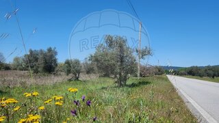 Land for sale in Penamacor, Portugal — €9,000
