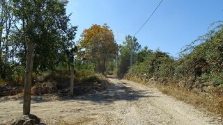 Land for sale in Nelas, Portugal — €26,500