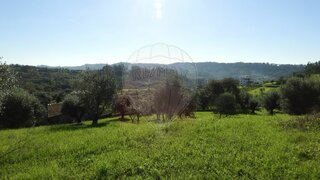 Land for sale in Pombal, Portugal — €55,000