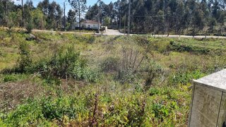 Land for sale in Oliveira de Azeméis, Portugal — €42,000