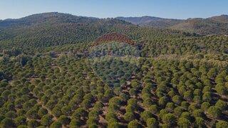 Land for sale in Odemira, Portugal — €620,000