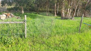 Land for sale in Tomar, Portugal — €35,000