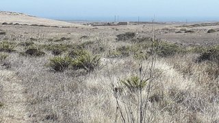 Land for sale in Vila do Bispo, Portugal — €40,000