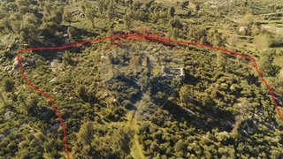 Land for sale in Mangualde, Portugal — €17,000