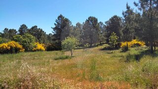 Land for sale in Moimenta da Beira, Portugal — €30,000