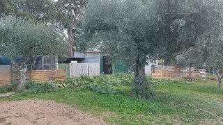 Land for sale in Penamacor, Portugal — €45,000
