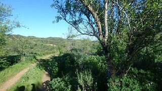 Land for sale in Castro Marim, Portugal — €9,500