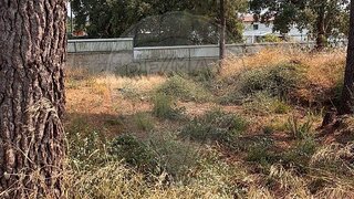 Land for sale in Palmela, Portugal — €160,000