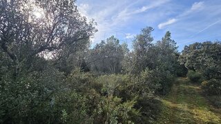 Land for sale in Alcanena, Portugal — €18,000