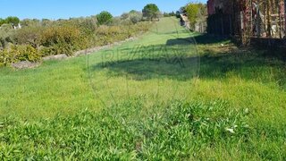 Land for sale in Torres Novas, Portugal — €39,000
