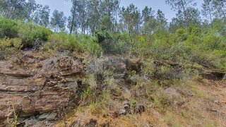 Land for sale in Sertã, Portugal — €2,750