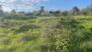 Land for sale in Tomar, Portugal — €35,000
