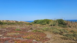 Land for sale in Peniche, Portugal — €80,000