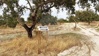Land for sale in Mora, Portugal — €90,000