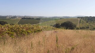 Land for sale in Cadaval, Portugal — €27,500