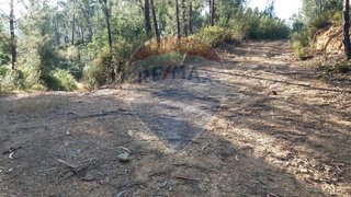 Terreno em Castelo Branco