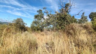 Land for sale in Penamacor, Portugal — €12,000