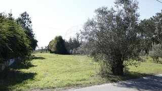 Land for sale in Montemor-o-Velho, Portugal — €38,000