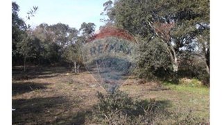 Land for sale in Ferreira do Zêzere, Portugal — €34,000