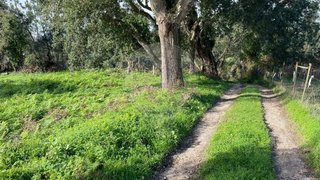 Land for sale in Figueira da Foz, Portugal — €15,500