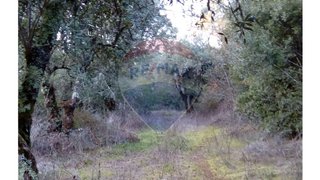 Land for sale in Ansião, Portugal — €9,500